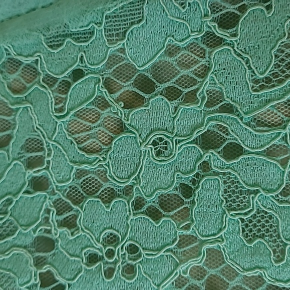 BCBG Maxazria soft green lace fully lined dress - Picture 3 of 12